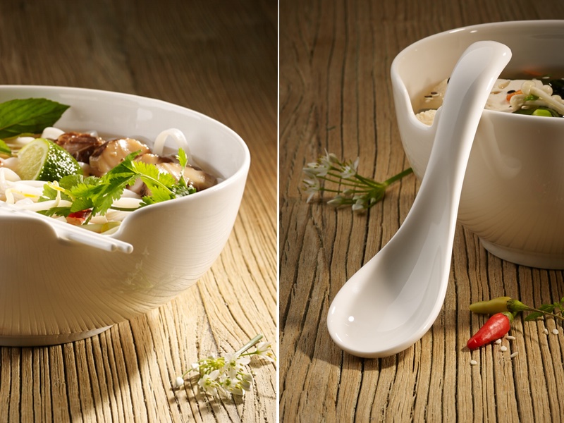 villeroy & boch soup passions asian