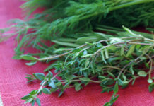 Opbergen … van kruiden kruiden