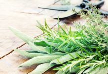 Paleo, een gezonde levensstijl: feit of fabel? Paleo dieet