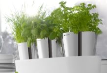 WMF brengt je keuken een fris & clean kruidentuintje WMF kruiden