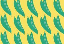 Wereldvoedseldag: Hoe conserveer je het best voedsel?