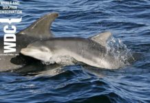 Less Plastic is More