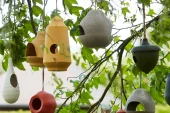 Fluitend de winter door met Point-Virgule: vrolijke voederhuisjes voor blije vogels!