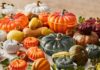 Herfstige magie bij Le Creuset: de gloednieuwe Autumn & Halloween-collectie